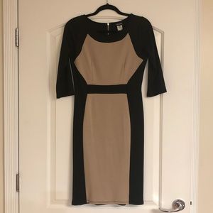 Two Tone Dress